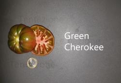 Tomate Green Cherokee