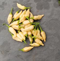 Inca Red drop peach chili samen Inca Red drop peach chili samen