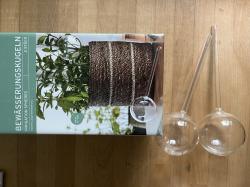 Zwei Bewässerungskugeln aus Glas Zwei Bewässerungskugeln aus Glas