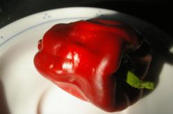 Paprika Novosibirskij Paprika Novosibirskij