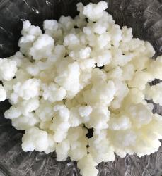 Milch-Kefir Milch-Kefir