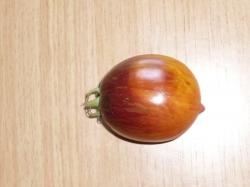Tomate Gargamel Tomate Gargamel