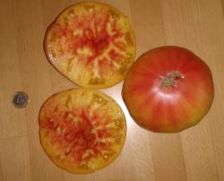 Tomate Old German Tomate Old German