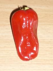 türkischer Gewürzpaprika türkischer Gewürzpaprika