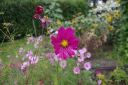 Schmuckkörbchen -rosa/pink- Schmuckkörbchen -rosa/pink-