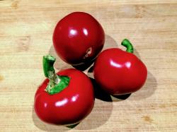 Sardischer Kugelchili Sardischer Kugelchili