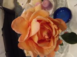 Duft Rosen orange Duft Rosen orange