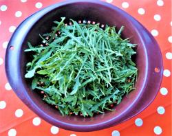 Rucola mehrjährig 2022 Rucola mehrjährig 2022