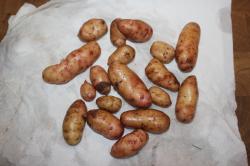 rosa Tannenzapfen 200 gr rosa Tannenzapfen 200 gr
