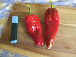 20 Samen Paprika - Pantos - 2019 20 Samen Paprika - Pantos - 2019