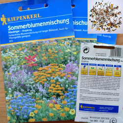 Niedrige Sommerblumenmischung Niedrige Sommerblumenmischung