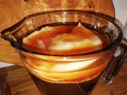 Kombucha Teepilz Kombucha Teepilz
