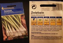 Zwiebeln Freddy (Winterhecke) Zwiebeln Freddy (Winterhecke)