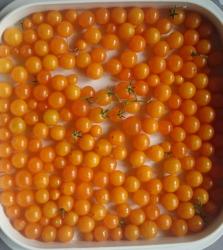 Gelbe Johannisbeertomate Gelbe Johannisbeertomate