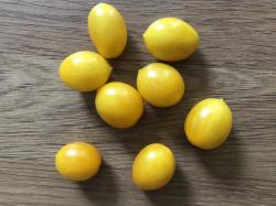 Barrys Crazy Cherry Tomate Barrys Crazy Cherry Tomate