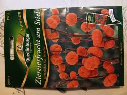 Ziereierfrucht am Stiel Ziereierfrucht am Stiel