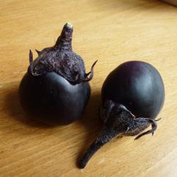 Aubergine »Kamo« Aubergine »Kamo«