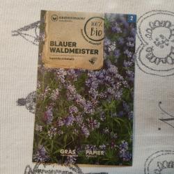Blauer Waldmeister Blauer Waldmeister