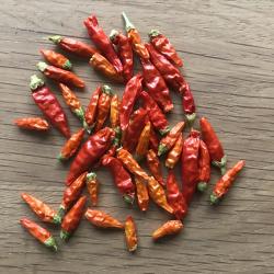 Bonsai-Chili, ganze Früchte, Samen Bonsai-Chili, ganze Früchte, Samen