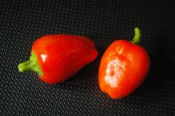 Chili Pimiento del Piquillo Chili Pimiento del Piquillo