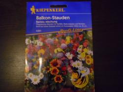 Balkon-Stauden Baristo Mischung Balkon-Stauden Baristo Mischung