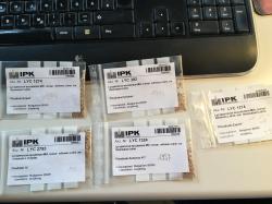 Tomatensaatgut aus Bulgarien Tomatensaatgut aus Bulgarien