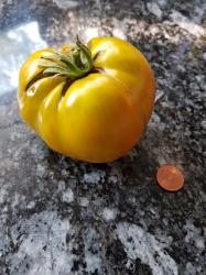Tomate Malakkitaya Shkatulka - Malachitschachtel Tomate Malakkitaya Shkatulka - Malachitschachtel