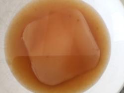 Kombucha Kombucha