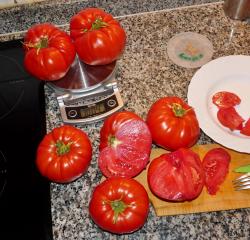 Fleischtomate - 10 Korn Fleischtomate - 10 Korn