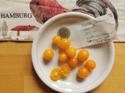 Tomate Gelbe Johannisbeere Tomate Gelbe Johannisbeere