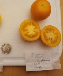 Tomate "Orange mittelgroße Müller" Tomate "Orange mittelgroße Müller"