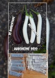 Aubergine De Barbentane Aubergine De Barbentane
