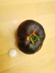 Tomate Schwarze Sarah Tomate Schwarze Sarah