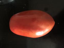 Tomate Föhrer Hörnchen Tomate Föhrer Hörnchen