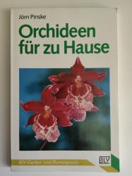 Orchideen für zu Hause Orchideen für zu Hause