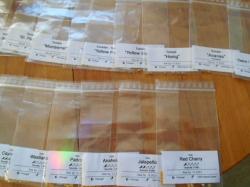 8 aus 12 Sorten Chili 8 aus 12 Sorten Chili