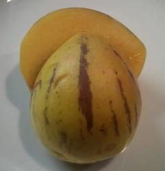 Melonenbirne Melonenbirne