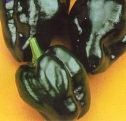 Ancho Poblano Ancho Poblano