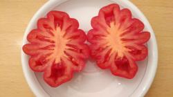 Tomaten Samen - evtl. Gezahnte Bührer- Keel Tomaten Samen - evtl. Gezahnte Bührer- Keel