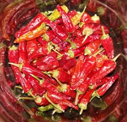 Pequin Chili Pequin Chili
