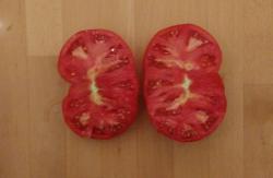 Tomate St. Pierre Tomate St. Pierre