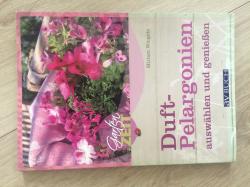 Duftpelargonien Duftpelargonien