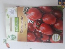 Samen Stabtomate Samen Stabtomate
