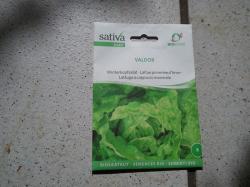 Valdor Winterkopfsalat Valdor Winterkopfsalat