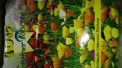 Goldmohn Samen Goldmohn Samen