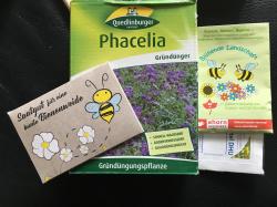 Gründünger Phacelia Gründünger Phacelia