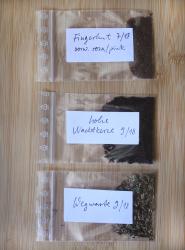 Wegwarte, Nachtkerze, Fingerhut Wegwarte, Nachtkerze, Fingerhut