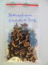 Bienenbaum - Stinkesche Samen Bienenbaum - Stinkesche Samen