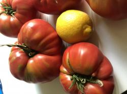 20 Tomaten Samen,Giganten könig, 20 Tomaten Samen,Giganten könig,