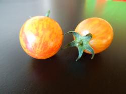 Tomaten 3 zur Auswahl Tomaten 3 zur Auswahl